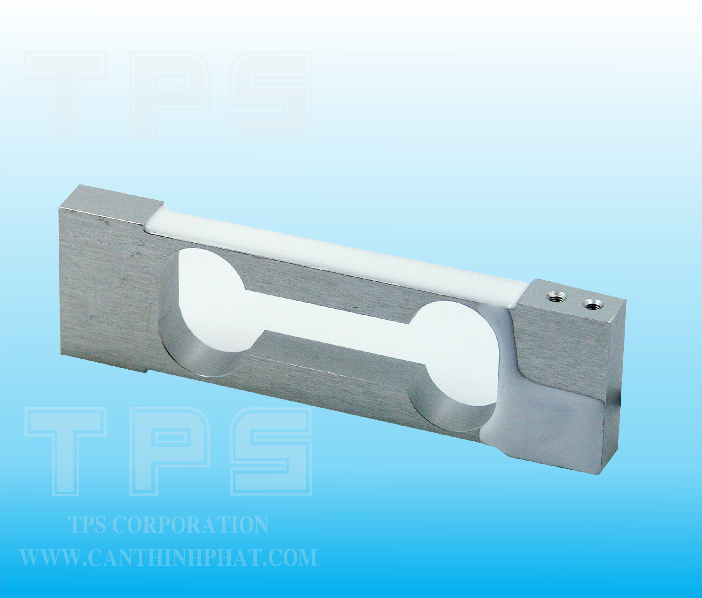 004G-3000g